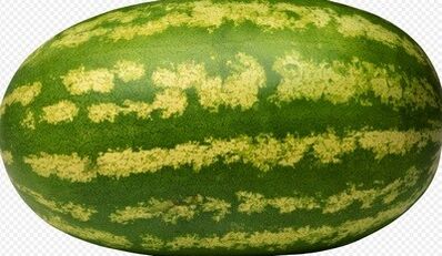 Pri výbere vodného melónu pre vašu stravu by ste sa mali vyhnúť veľkým bobuľám